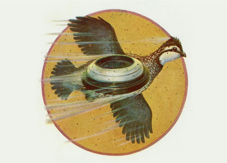 Vintage image of bird drawing with clay pigeon over it.